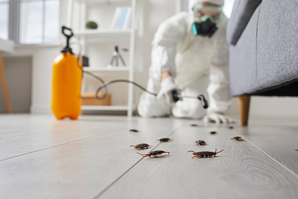 Commercial Kitchen Cockroach Control in Pacific Grove